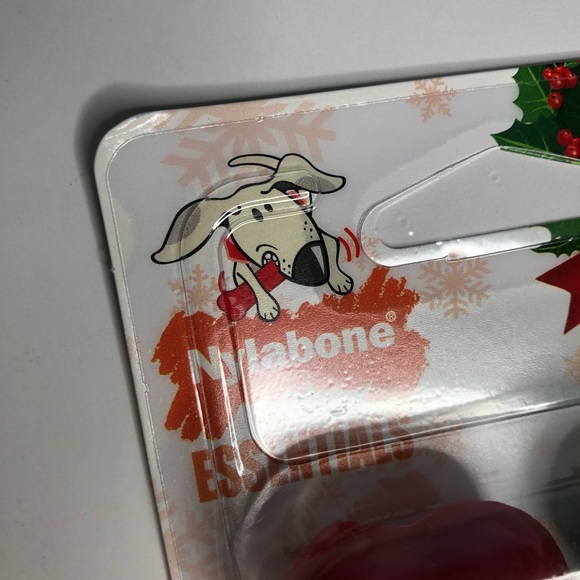 2 Pack Nylabone long lasting chew bones Winter Green, Turkey & Berries Flavor - Picture 3 of 9